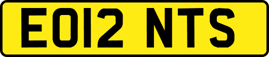 EO12NTS