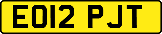 EO12PJT