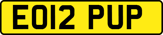 EO12PUP