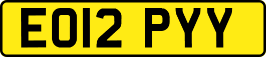 EO12PYY