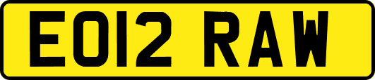 EO12RAW