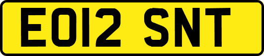 EO12SNT