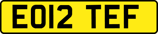 EO12TEF
