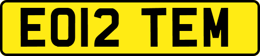 EO12TEM