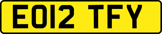 EO12TFY