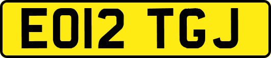 EO12TGJ
