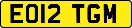 EO12TGM