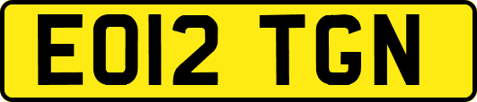 EO12TGN