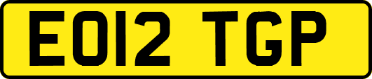 EO12TGP