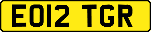 EO12TGR