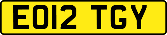 EO12TGY