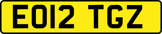 EO12TGZ