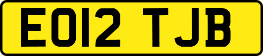 EO12TJB