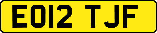EO12TJF