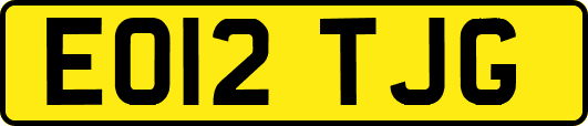 EO12TJG