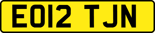 EO12TJN