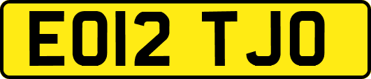 EO12TJO