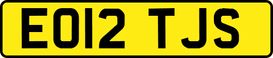 EO12TJS