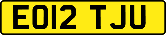EO12TJU