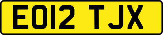 EO12TJX