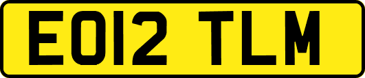 EO12TLM