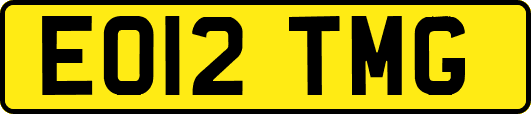 EO12TMG