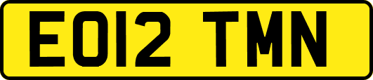EO12TMN
