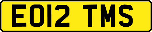 EO12TMS