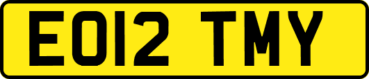 EO12TMY