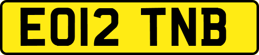 EO12TNB