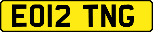 EO12TNG