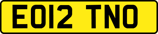 EO12TNO