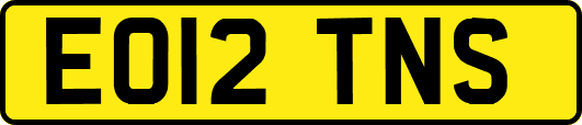 EO12TNS