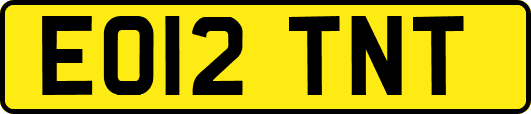 EO12TNT