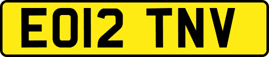 EO12TNV