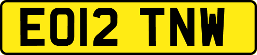 EO12TNW