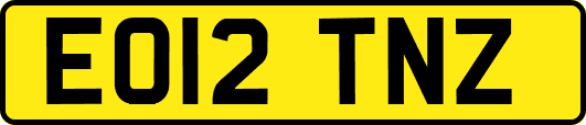EO12TNZ