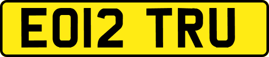 EO12TRU