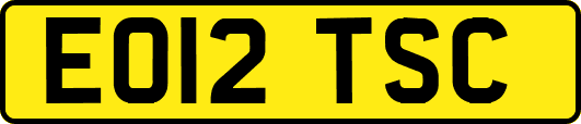 EO12TSC