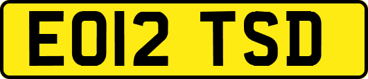 EO12TSD