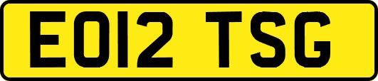 EO12TSG
