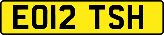 EO12TSH