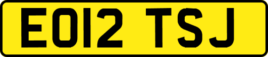 EO12TSJ