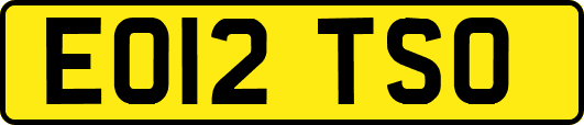 EO12TSO