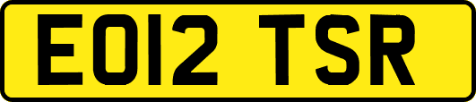 EO12TSR