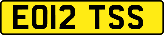 EO12TSS
