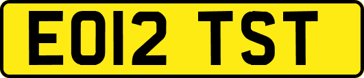 EO12TST