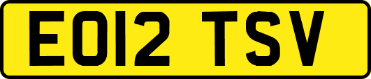 EO12TSV