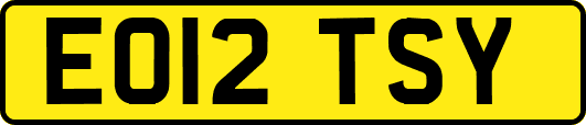 EO12TSY