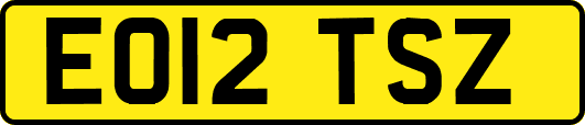 EO12TSZ